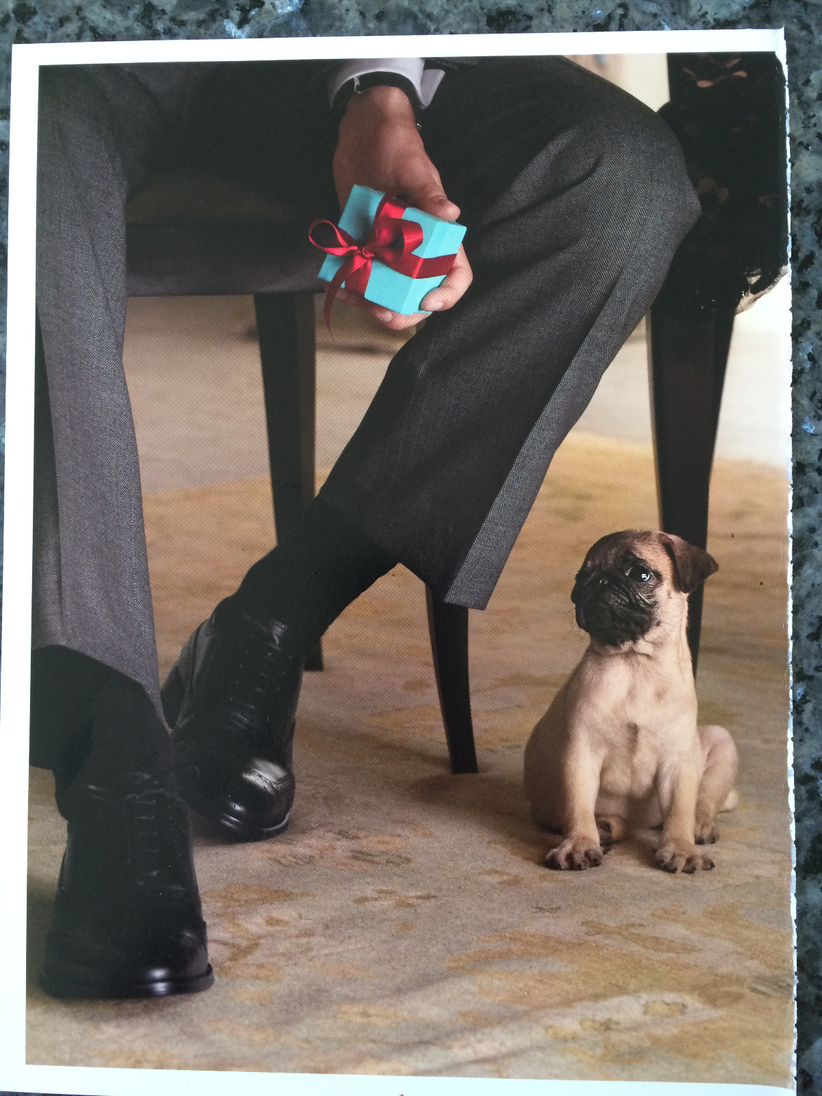 Tiffany's, Pug Print Ad
